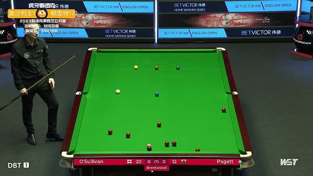 术执行上的 术执行上的