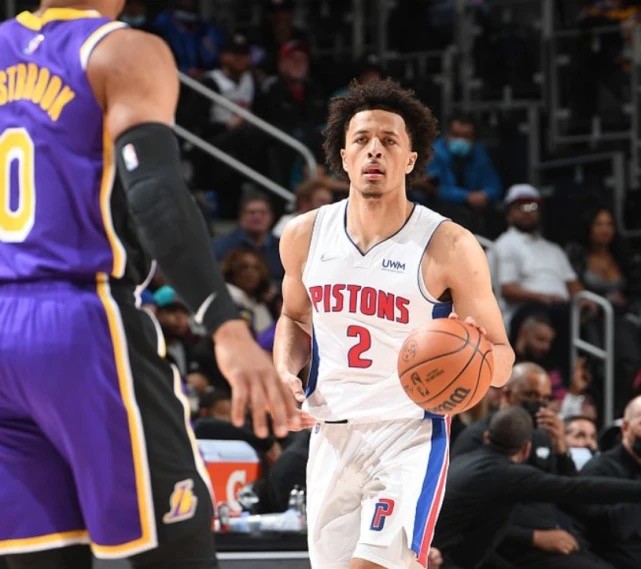 是因为今年 是因为今年