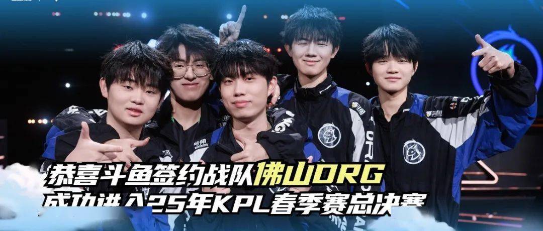 稳定且表现 稳定且表现