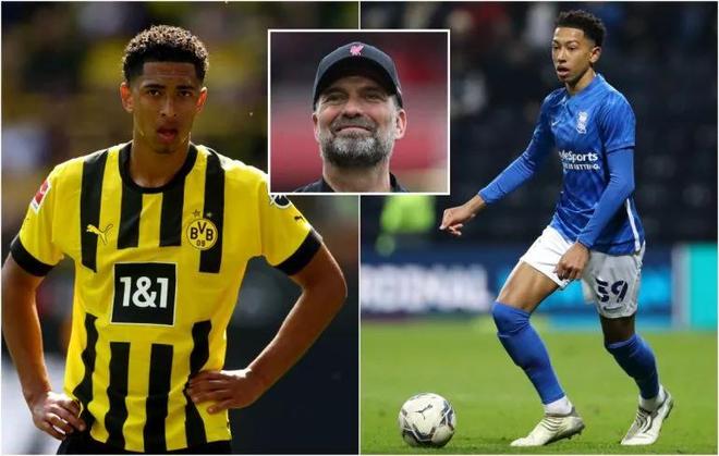 败让人看清 败让人看清