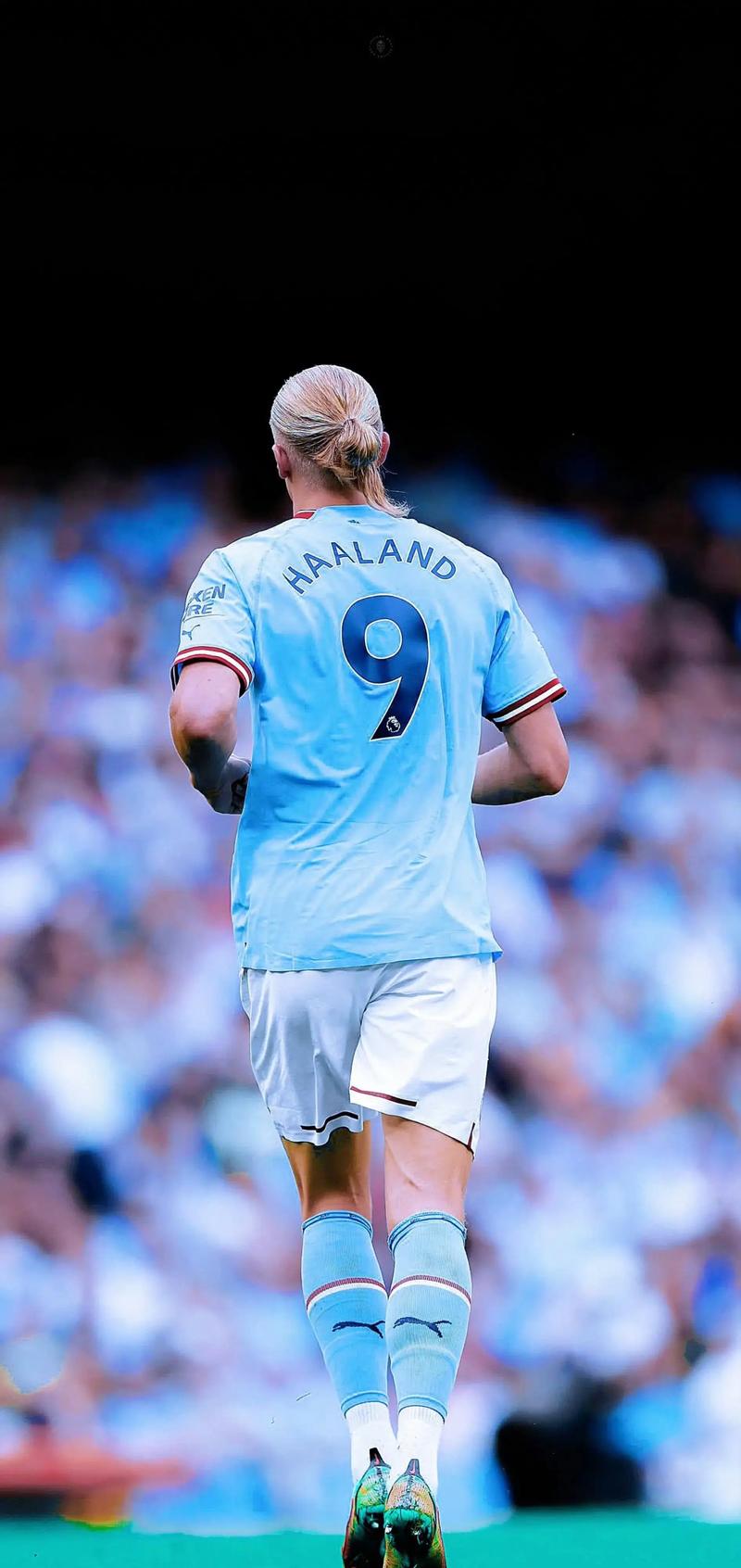 两套体系都 两套体系都